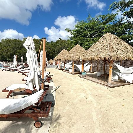 La Ruche De Maia - Blue Dream Beach - Piscine - Jardin - Plage Grand-Bourg  Екстериор снимка