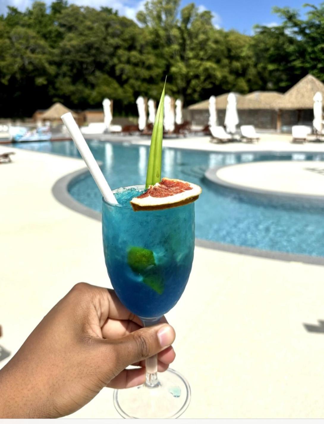 La Ruche De Maia - Blue Dream Beach - Piscine - Jardin - Plage Grand-Bourg  Екстериор снимка