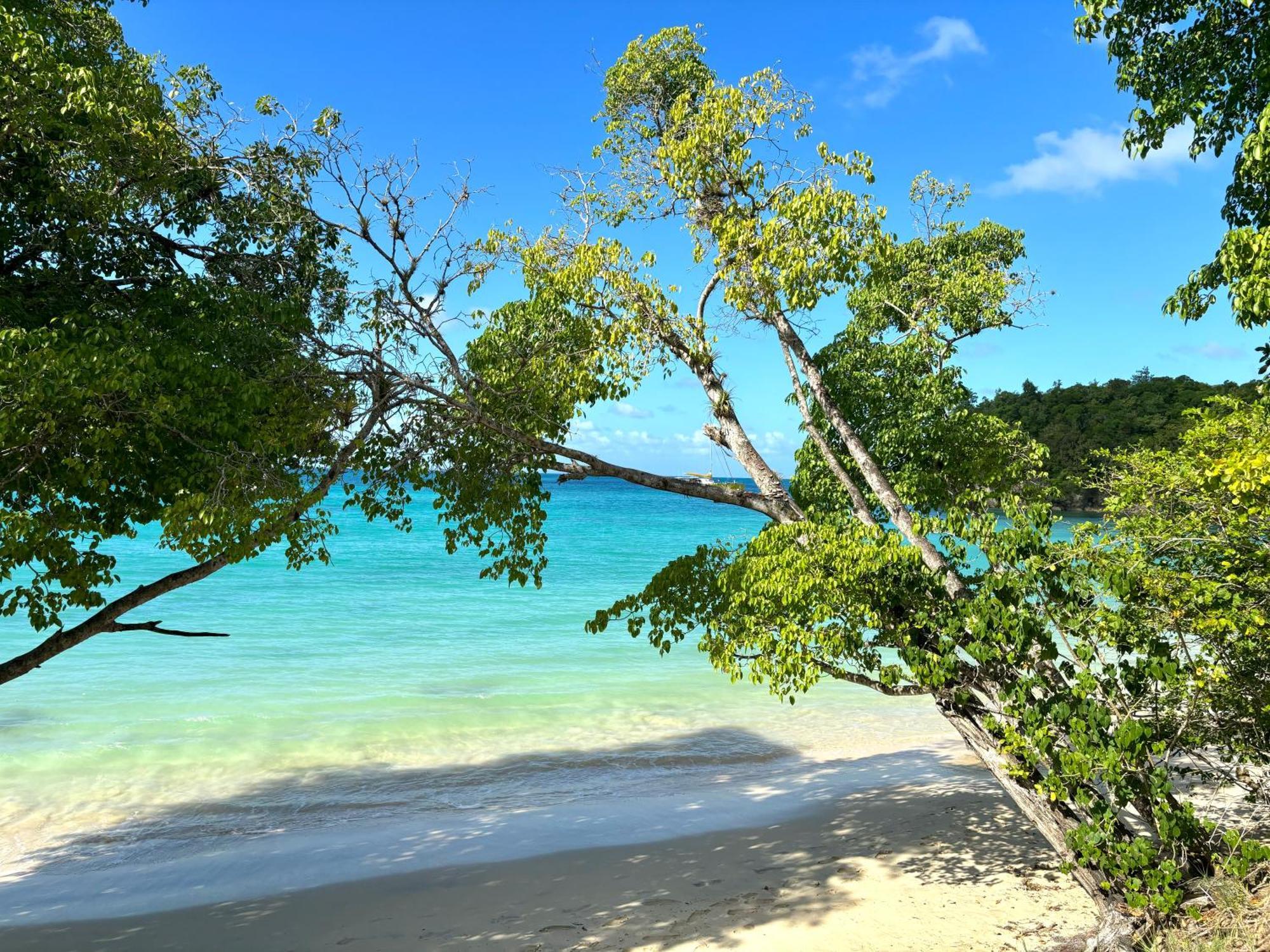 La Ruche De Maia - Blue Dream Beach - Piscine - Jardin - Plage Grand-Bourg  Екстериор снимка
